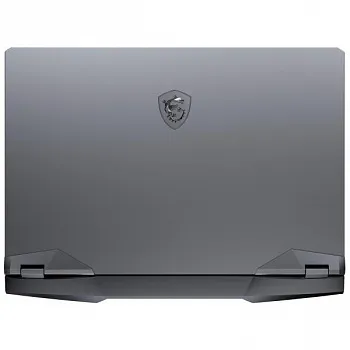 Купить Ноутбук MSI GE66 Raider 10SE (GE66 10SE-656PL) - ITMag