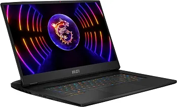 Купить Ноутбук MSI Titan GT77HX 13VH (GT77HX13VH-045DE) - ITMag