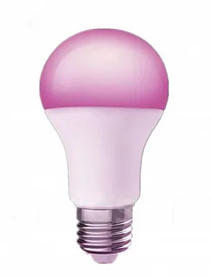 Mijia Philips Colorful Light Bulb (3166547) - ITMag