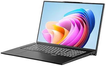 Купить Ноутбук 2E Complex Pro 17 Black (NS70PU-17UA50) - ITMag