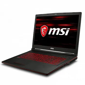 Купить Ноутбук MSI GL65 9SD (GL659SD-206XRO) - ITMag