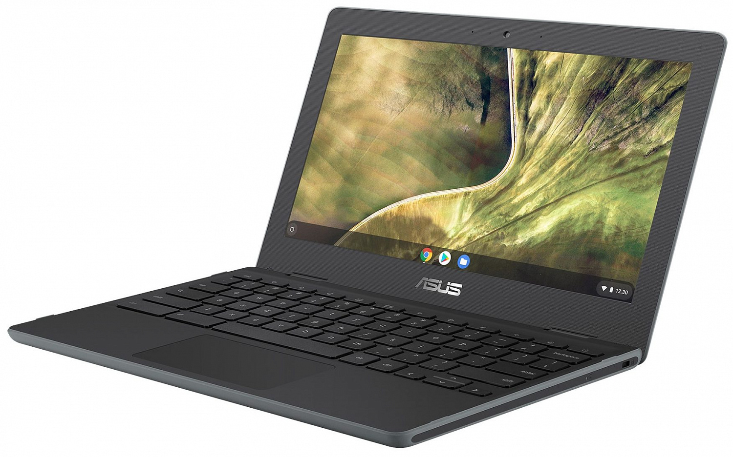 Купить Ноутбук ASUS Chromebook C204 (C204MA-YB02-GR) - ITMag