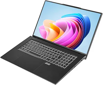 Купить Ноутбук 2E Complex Pro 17 Black (NS70PU-17UA51) - ITMag