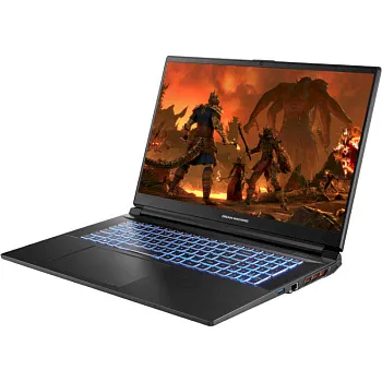 Купить Ноутбук Dream Machines RG4060-17 Black (RG4060-17UA20) - ITMag