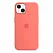 Apple iPhone 13 Silicone Case with MagSafe - Pink Pomelo (MM253) Copy - ITMag