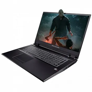 Купить Ноутбук Dream Machines RT2060-17 (RT2060-17UA28) - ITMag