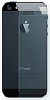 Пленка защитная EGGO iPhone 5/5S Backside (Глянцевая) - ITMag
