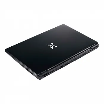 Купить Ноутбук Dream Machines RG2070-17 Black (RG2070-17UA31) - ITMag