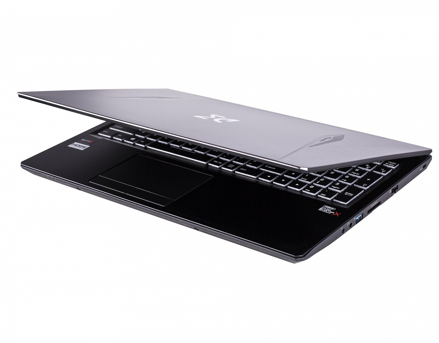 Купить Ноутбук Dream Machines Clevo RT2070-17 (RT2070-P960RF) - ITMag