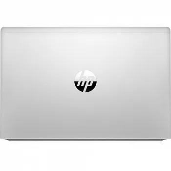 Купить Ноутбук HP ProBook 445 G8 Pike Silver (2U741AV_V2) - ITMag