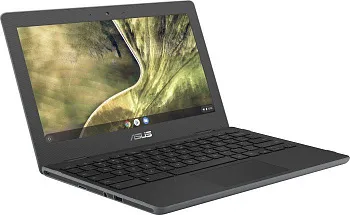 Купить Ноутбук ASUS Chromebook C204MA (C204MA-YZ02-GR) - ITMag