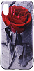 TPU чехол OMEVE Pictures для Apple iPhone X (5.8") (Роза красная) - ITMag