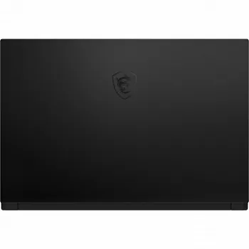 Купить Ноутбук MSI GS66 Stealth 10SE (GS66 10SE-027PL) - ITMag