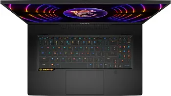 Купить Ноутбук MSI Titan GT77HX 13VH (GT77HX13VH-045DE) - ITMag