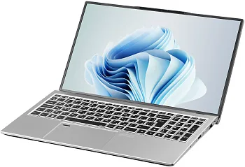 Купить Ноутбук 2E Complex Pro 15 Silver (NS51PU-15UA21) - ITMag