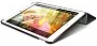 Чохол Macally для iPad 9.7 Pro"/Air2 - Сірий (BSTANDPROS-G) - ITMag