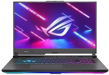 Купить Ноутбук ASUS ROG Strix G17 G713PU (G713PU-HX042) - ITMag