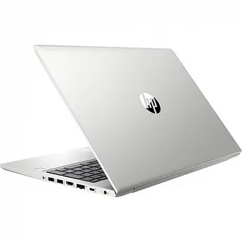 Купить Ноутбук HP ProBook 455 G7 Silver (175V2EA) - ITMag