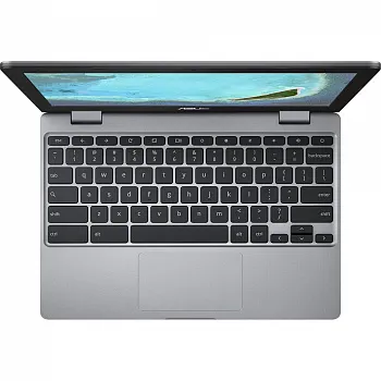 Купить Ноутбук ASUS Chromebook C223NA (C223NA-GJ0055) - ITMag