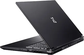 Купить Ноутбук Dream Machines RS3070-17 (RS3070-17UA51) - ITMag
