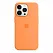 Apple iPhone 13 Pro Silicone Case with MagSafe - Marigold (MM2D3) Copy - ITMag