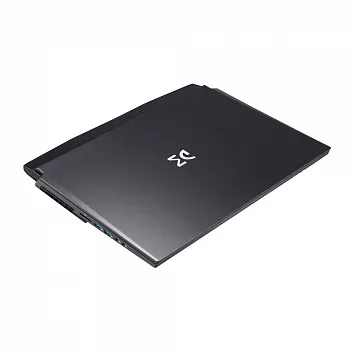 Купить Ноутбук Dream Machines RX3070-17 (RX3070-17PL35) - ITMag