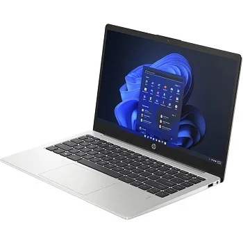 Купить Ноутбук HP 245 G10 Turbo Silver (A3DU5ES) - ITMag