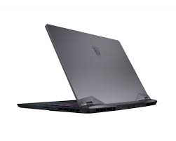 Купить Ноутбук MSI GE66 Raider 10UG (10UG-622US) - ITMag