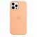 Apple iPhone 12 Pro Max Silicone Case with MagSafe - Cantaloupe (MK073) Copy - ITMag