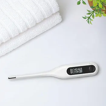 Термометр Xiaomi Electronic Thermometer White (6970532560096)  - ITMag