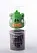 USB Flash Drive Angry Birds MD 579 - ITMag