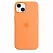 Apple iPhone 13 Silicone Case with MagSafe - Marigold (MM243) Copy - ITMag