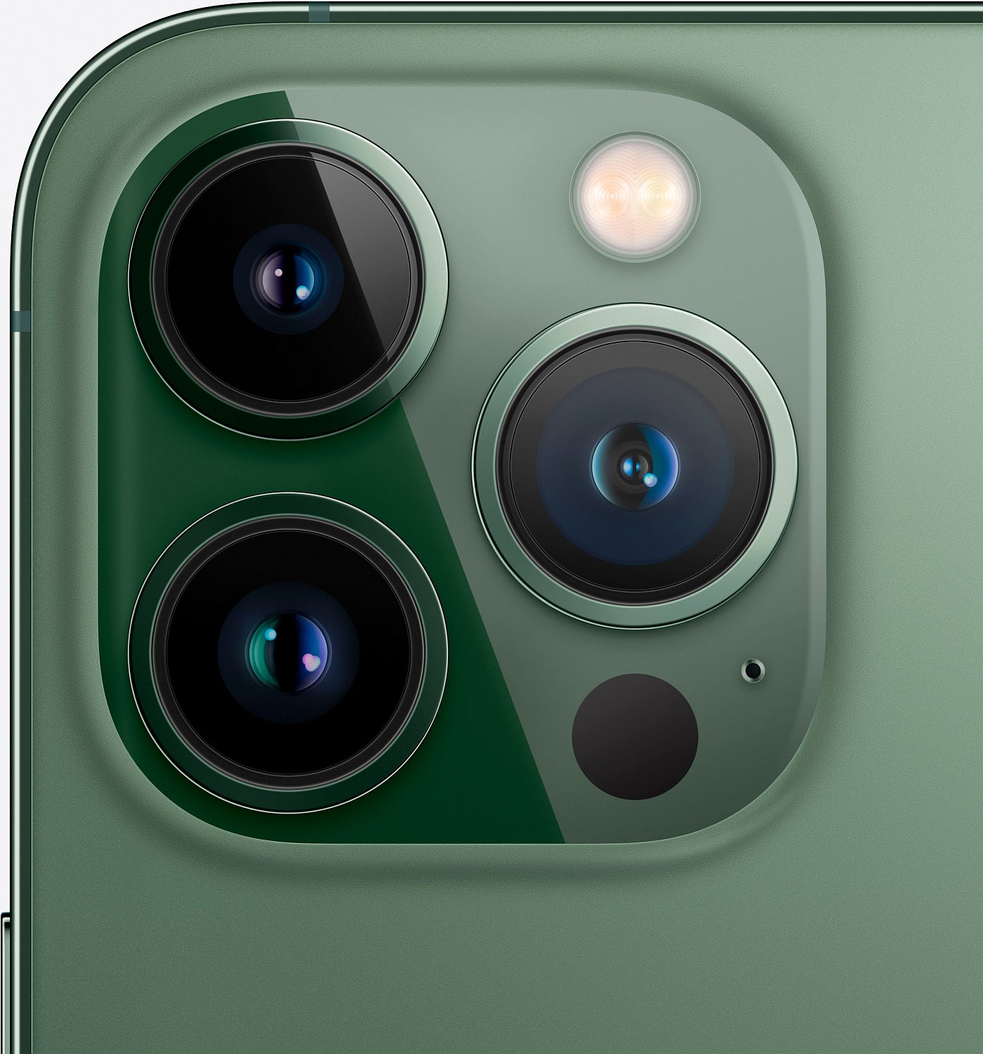 Apple iPhone 13 Pro 1TB Alpine Green (MNDW3) - ITMag